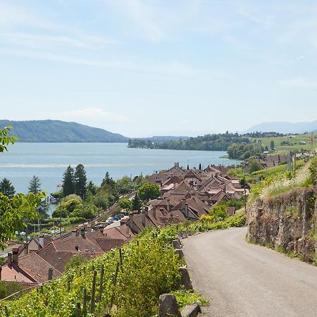 Alpes Et Lac Ла-Ньоввіль Екстер'єр фото