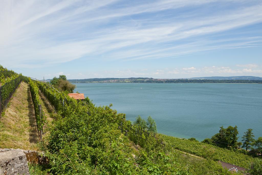 Alpes Et Lac Ла-Ньоввіль Екстер'єр фото